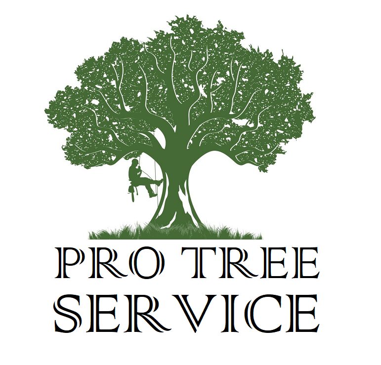 Pro Tree Service, LLC